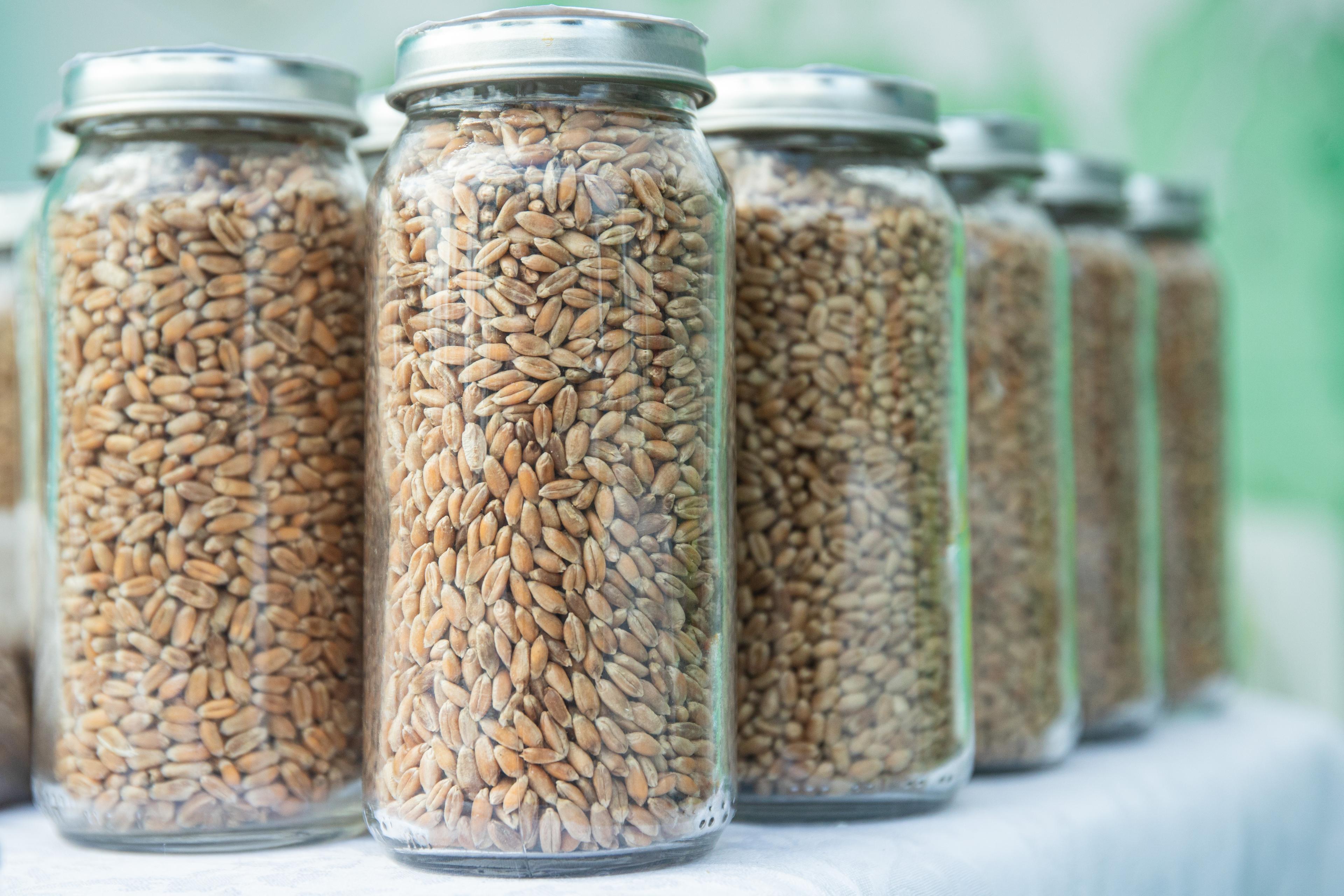 TASS_96140136
