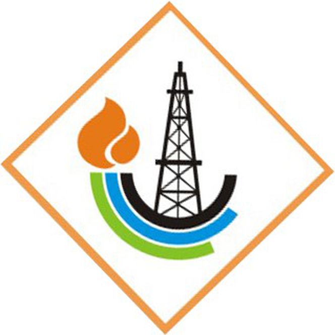 Проектный институт нефти и газа